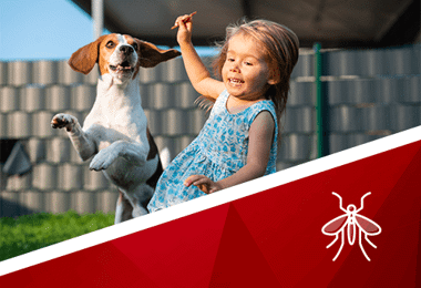 Bee Friendly Mosquito Control