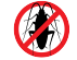 No bugs
